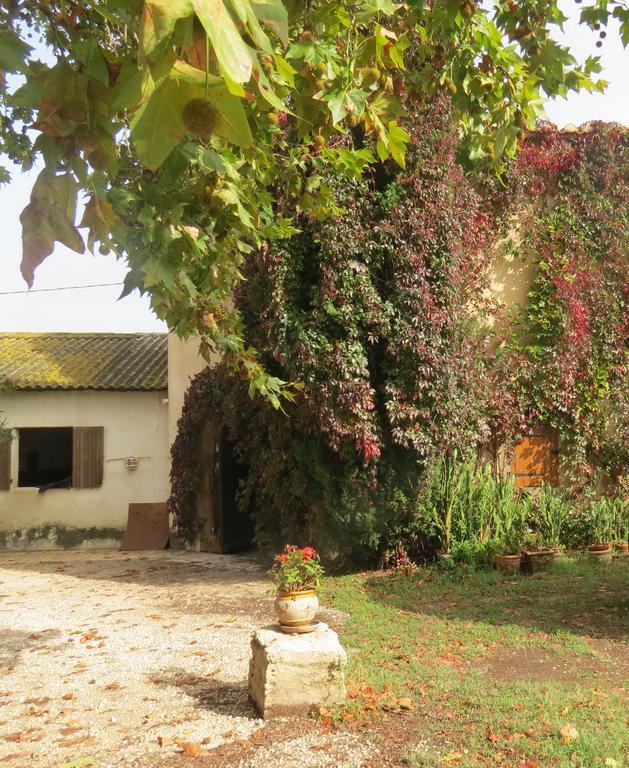 B&B Mas Les Lecques Beaucaire (Gard) Exterior photo
