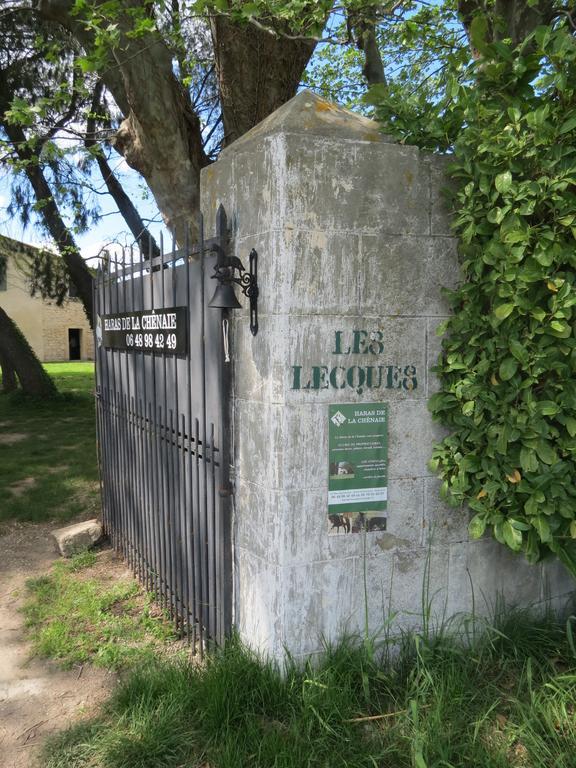 B&B Mas Les Lecques Beaucaire (Gard) Exterior photo