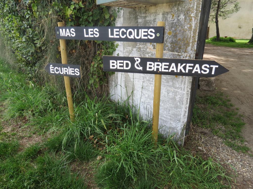 B&B Mas Les Lecques Beaucaire (Gard) Exterior photo