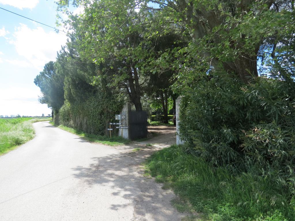 B&B Mas Les Lecques Beaucaire (Gard) Exterior photo