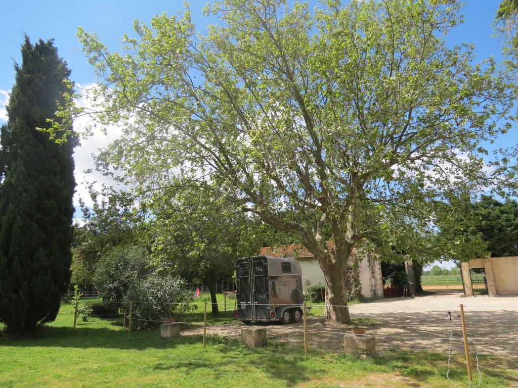 B&B Mas Les Lecques Beaucaire (Gard) Exterior photo
