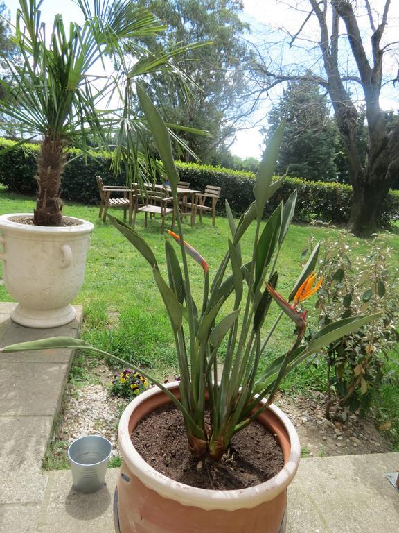 B&B Mas Les Lecques Beaucaire (Gard) Exterior photo